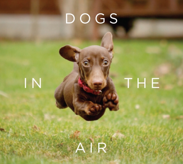Dogs in the Air, EPUB eBook
