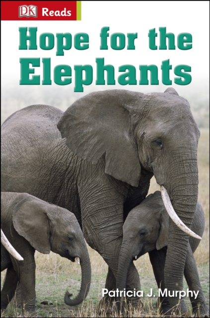 Hope for the Elephants, Hardback Book