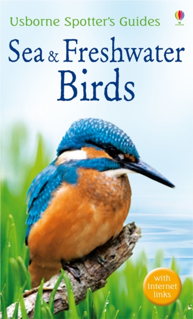 Sea and Freshwater Birds, Paperback Book