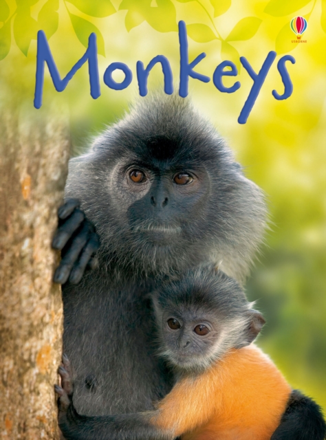 Monkeys, Hardback Book