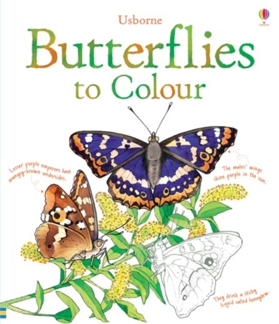 Butterflies to Colour, Paperback / softback Book