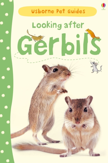 Looking after Gerbils, Hardback Book