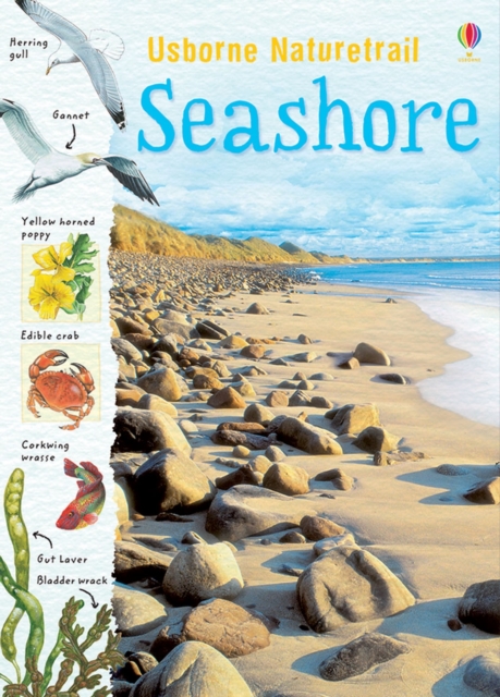 Naturetrail Seashore, Paperback Book