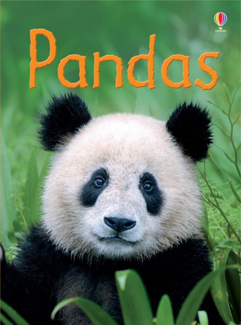 Pandas, Hardback Book