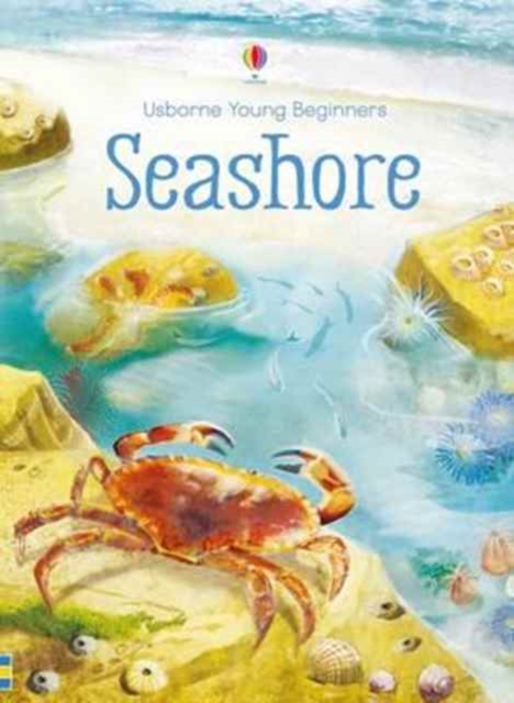 Seashore, Hardback Book