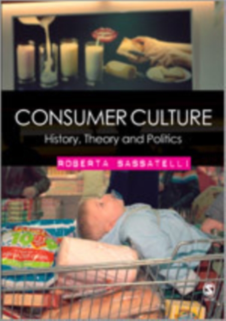 Consumer Culture : History, Theory and Politics, Hardback Book