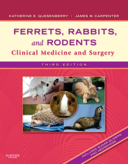 Ferrets, Rabbits, and Rodents : Clinical Medicine and Surgery, Paperback / softback Book