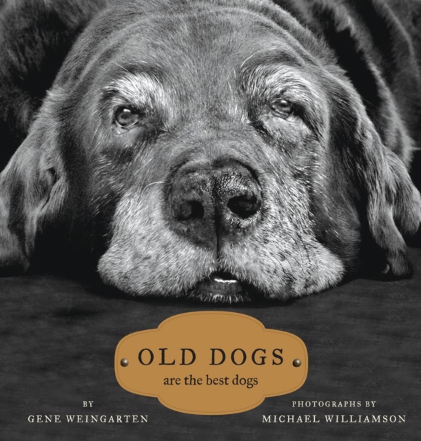 Old Dogs : Are the Best Dogs, EPUB eBook