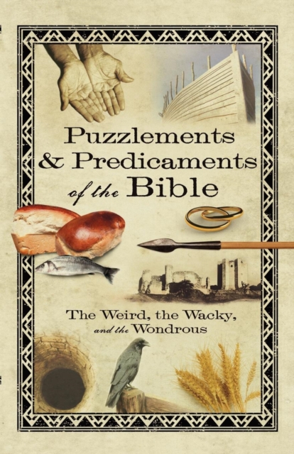 Puzzlements & Predicaments of the Bible : The Weird, the Wacky, and the Wondrous, Paperback / softback Book