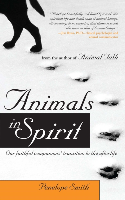 Animals in Spirit : Our faithful companions' transition to the afterlife, EPUB eBook
