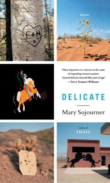 Delicate : Stories, EPUB eBook
