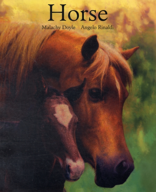 Horse, Paperback / softback Book