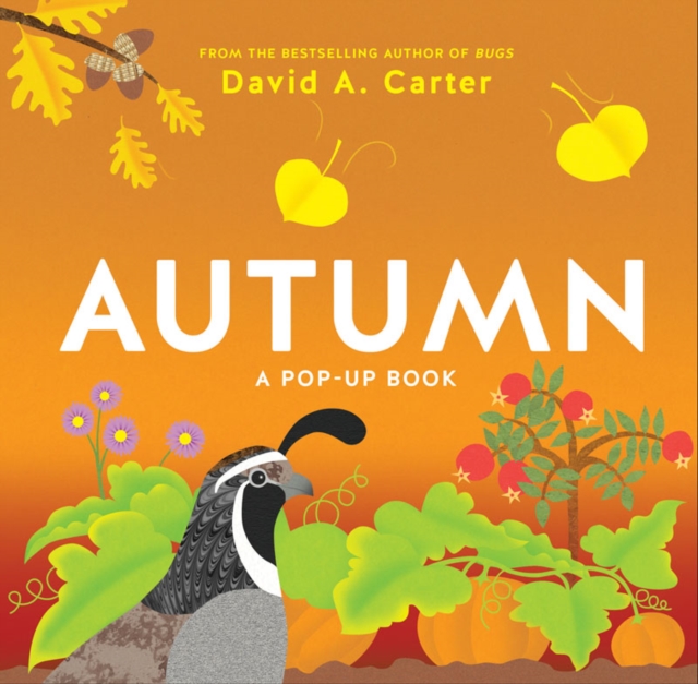 Autumn : A Pop-Up Book, Novelty book Book