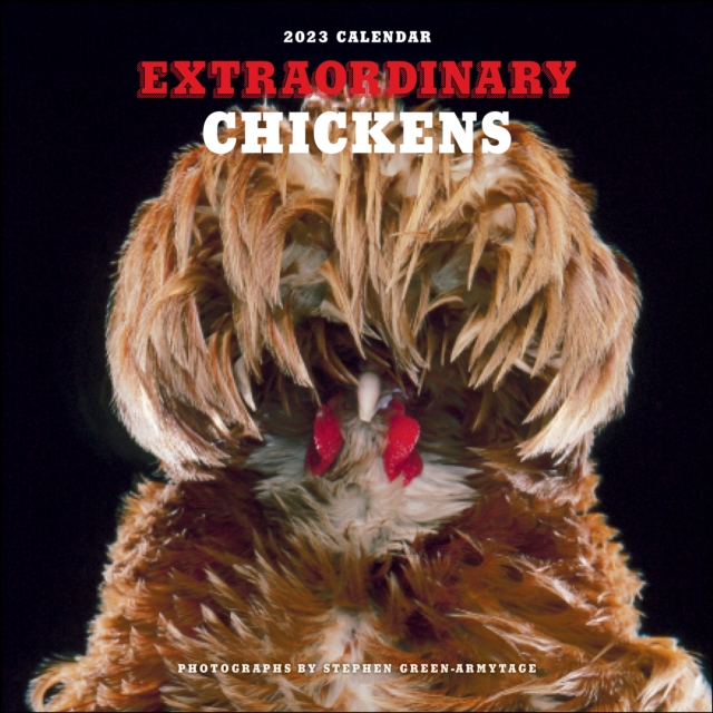 Extraordinary Chickens 2023 Wall Calendar, Calendar Book
