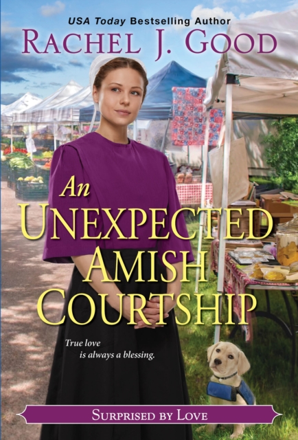 An Unexpected Amish Courtship, EPUB eBook