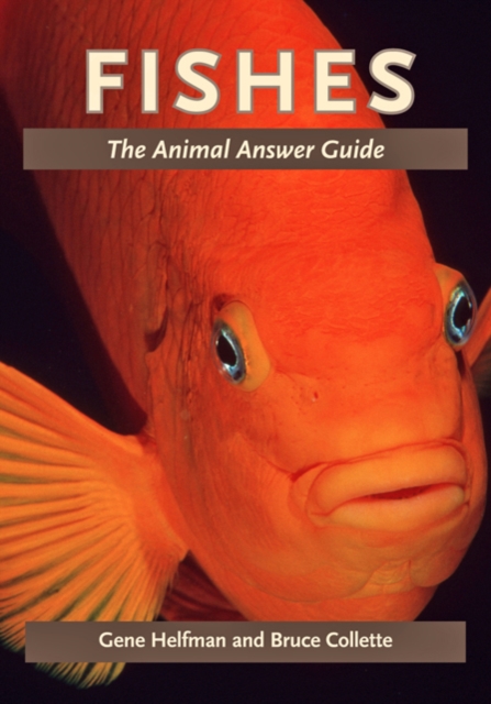 Fishes : The Animal Answer Guide, Hardback Book