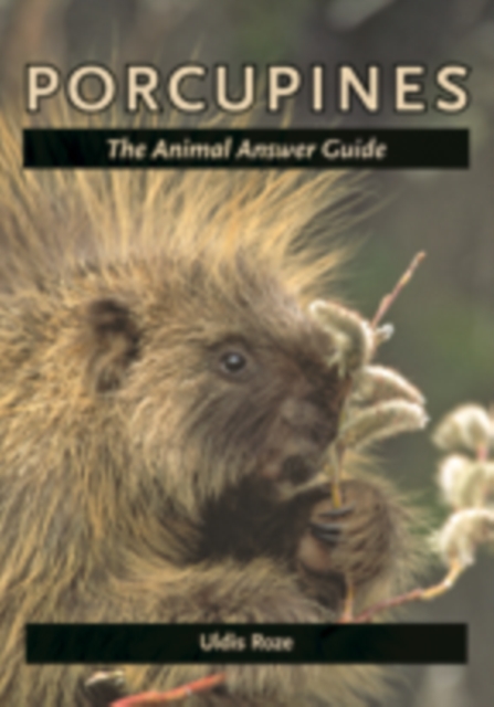 Porcupines : The Animal Answer Guide, Hardback Book