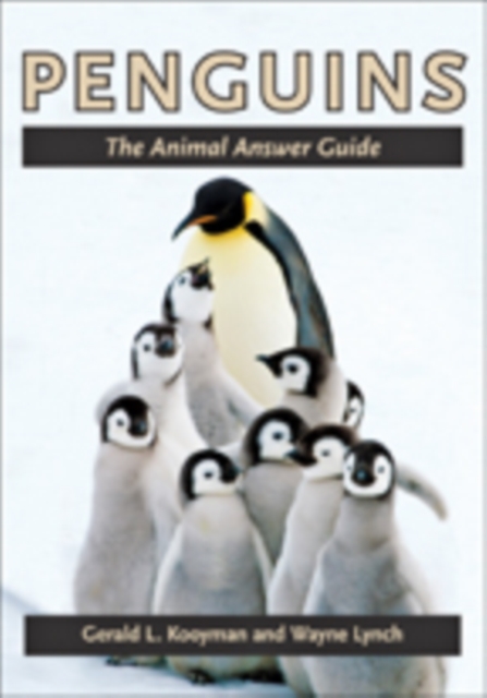 Penguins : The Animal Answer Guide, Paperback / softback Book