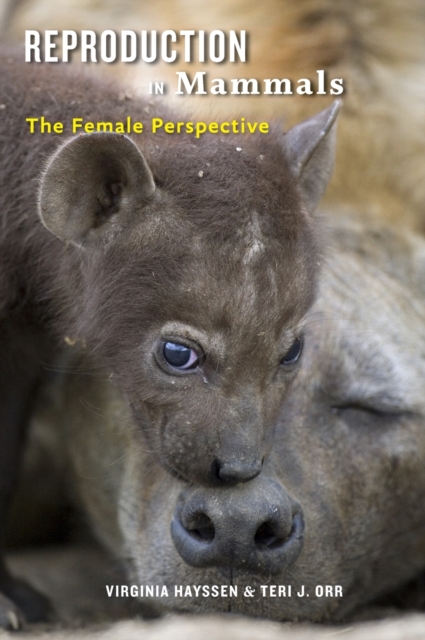 Reproduction in Mammals : The Female Perspective, Hardback Book