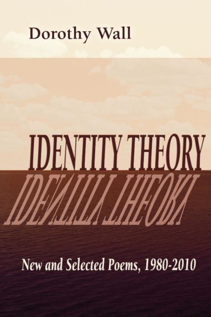 Identity Theory, Paperback / softback Book