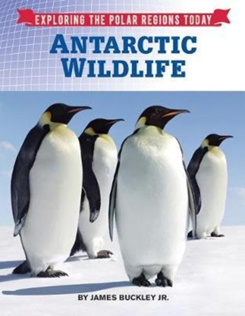 Antarctic Wildlife, Hardback Book