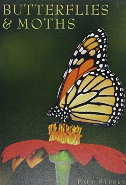 Butterflies & Moths, Hardback Book