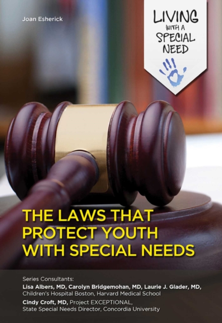 The Laws That Protect Youth with Special Needs, EPUB eBook