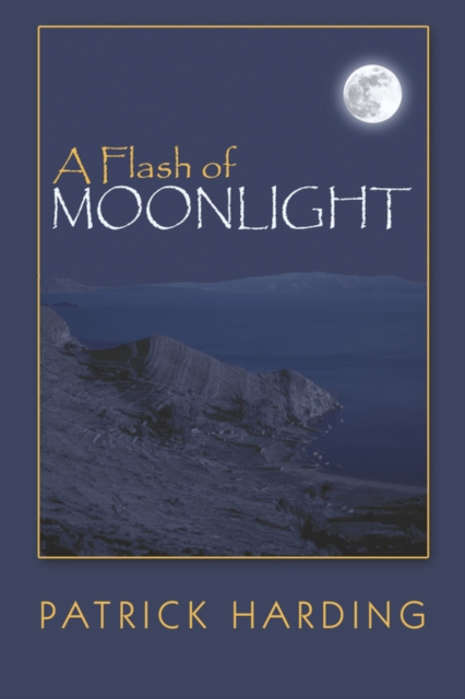 A Flash of Moonlight, Paperback / softback Book