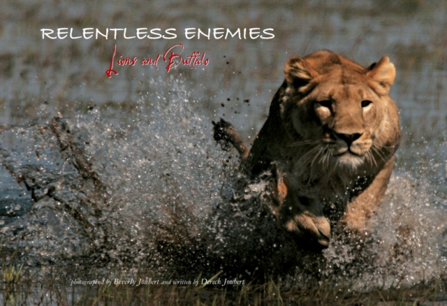 Relentless Enemies : Lions and Buffalo, Hardback Book