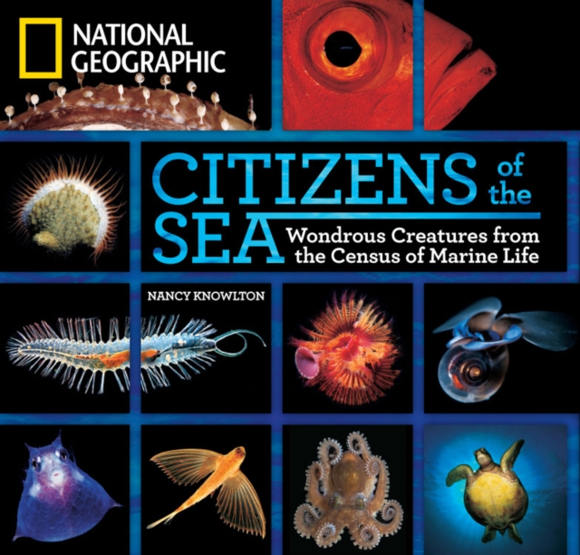 Citizens of the Sea : Wondrous Creatures from the Census of Marine Life, Hardback Book