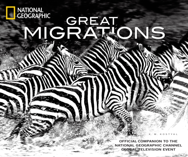 Great Migrations : Epic Animal Journeys, Hardback Book