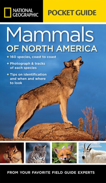 National Geographic Pocket Guide to the Mammals of North America, Paperback / softback Book