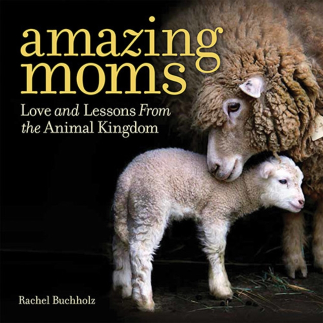 Amazing Moms : Love and Lessons From the Animal Kingdom, Hardback Book