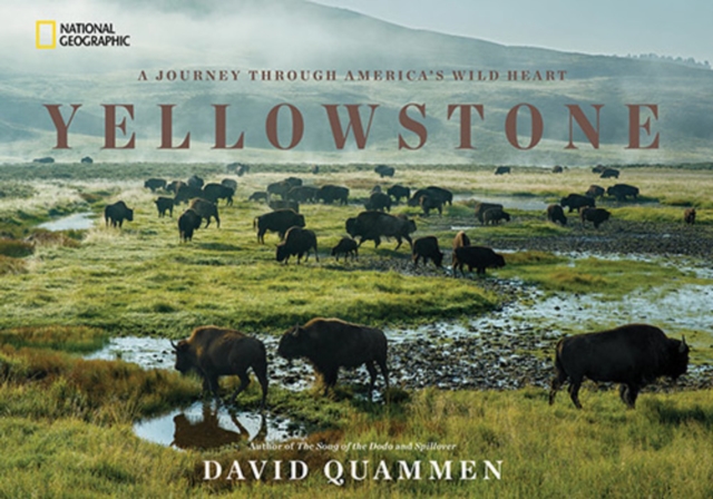 Yellowstone : A Journey Through America's Park, Hardback Book