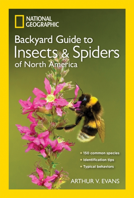 NG Guide to the Insects and Spiders of North America, Paperback / softback Book