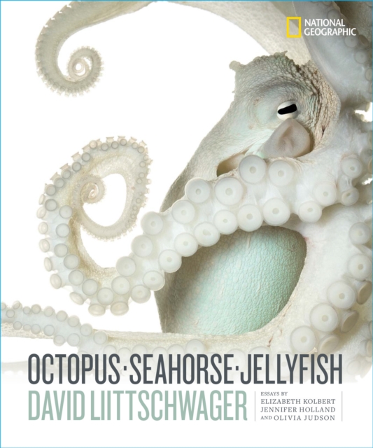 Octopus, Seahorse, Jellyfish, Hardback Book