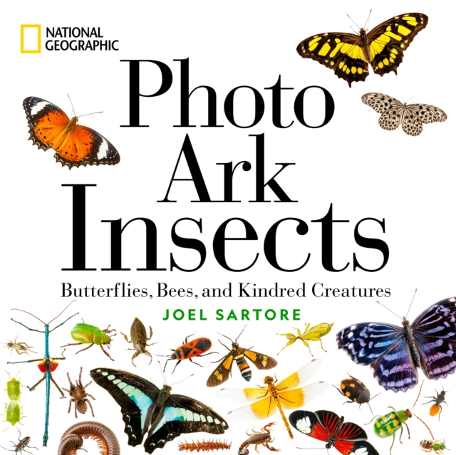 National Geographic Photo Ark Insects : Butterflies, Bees, and Kindred Creatures, Hardback Book