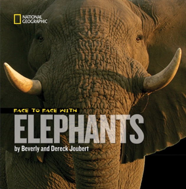 Face to Face with Elephants, Hardback Book