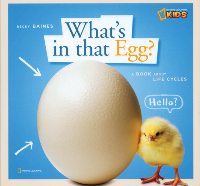 ZigZag: What's in That Egg?, Hardback Book