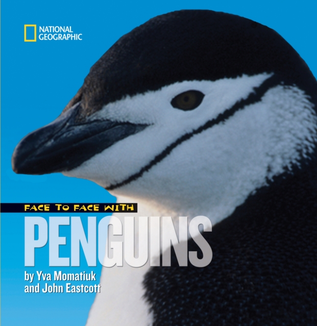 Face to Face with Penguins, Hardback Book