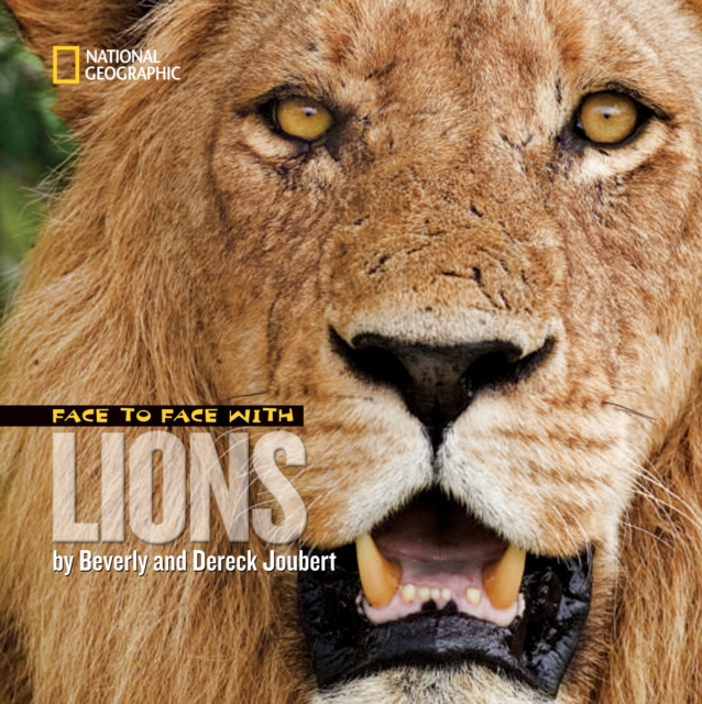 Face to Face with Lions, Paperback / softback Book