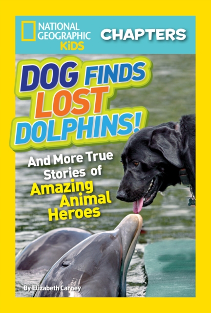 National Geographic Kids Chapters: Dog Finds Lost Dolphins : And More True Stories of Amazing Animal Heroes, Paperback / softback Book