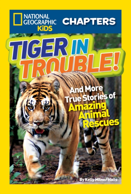 National Geographic Kids Chapters: Tiger in Trouble! : And More True Stories of Amazing Animal Rescues, Paperback / softback Book