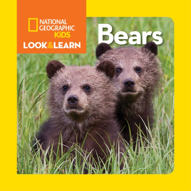 Look and Learn: Bears, Board book Book