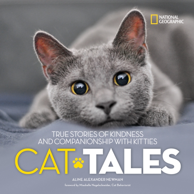 Cat Tales : True Stories of Kindness and Companionship with Kitties, Hardback Book