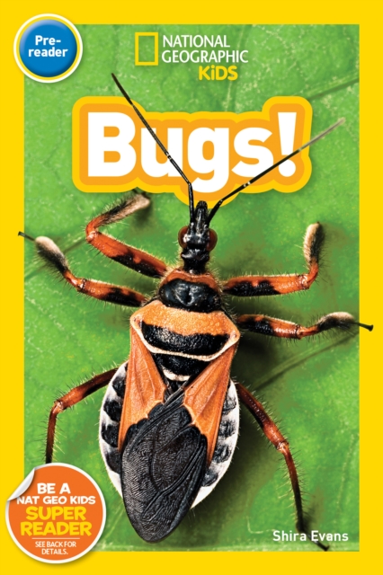 National Geographic Kids Readers: Bugs, Paperback / softback Book