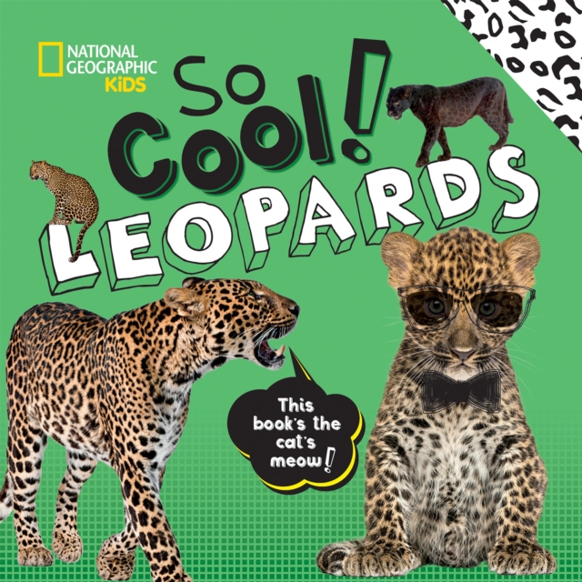 So Cool! Leopards, Hardback Book