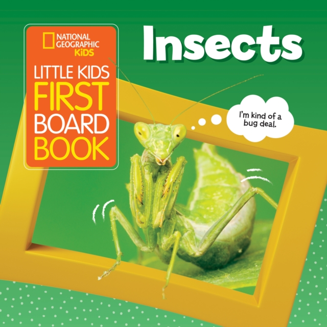 Little Kids First Board Book Insects, Board book Book