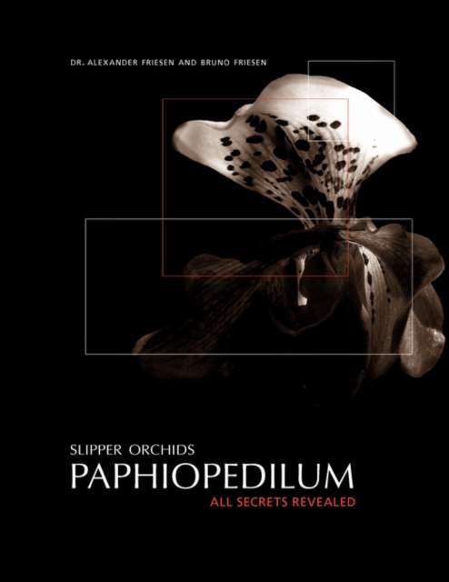 Slipper Orchids, Paphiopedilum : All Secrets Revealed, Paperback / softback Book