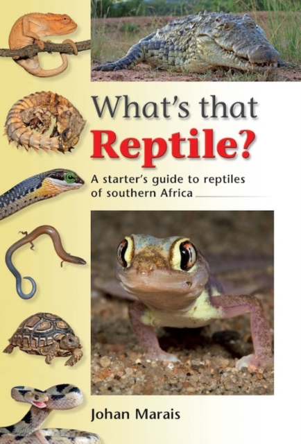 What's that Reptile? : A starter's guide to reptiles of southern Africa, PDF eBook